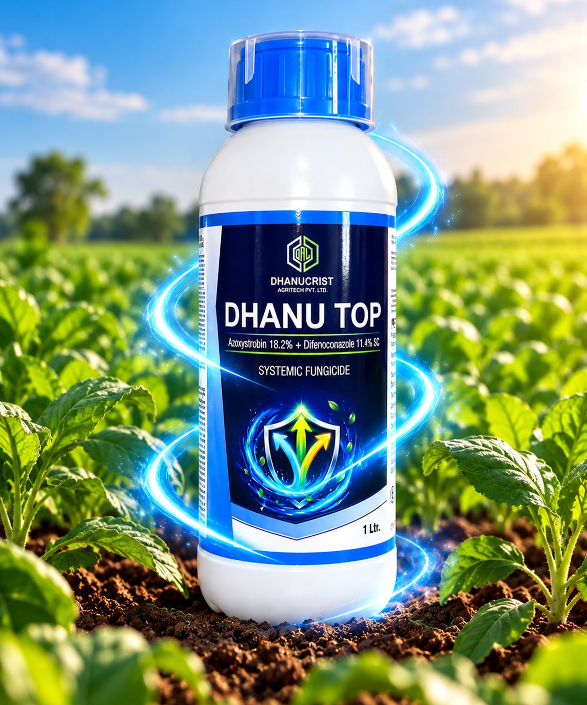 Dhanu Top
